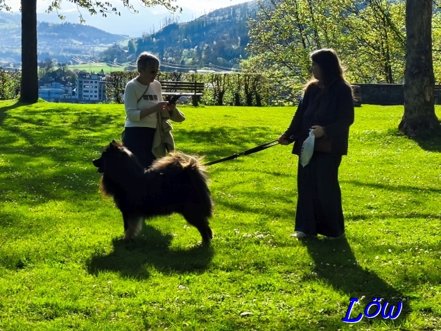 19.4.2025 - Tante, Howard und Claudia haben den Weitblick